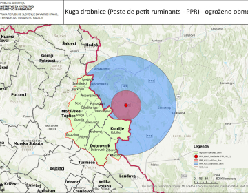 Zemljevid ogroženega območja v Sloveniji zaradi kuge drobnice na Madžarskem | Avtor: Uprava za varno hrano, veterinarstvo in varstvo rastlin