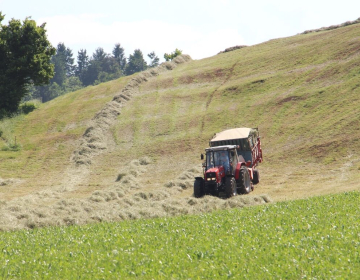 RAZPIS: Za naložbe v upravljanje traviščnih hab...