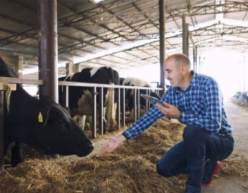 Priložnost za kmete in veterinarje