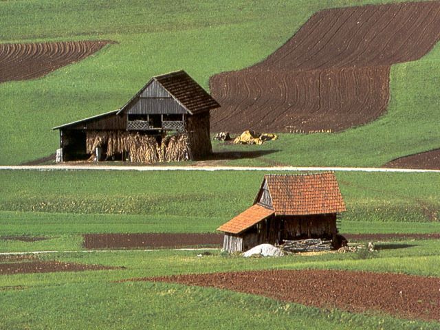 parcele, njiva, stare hiše