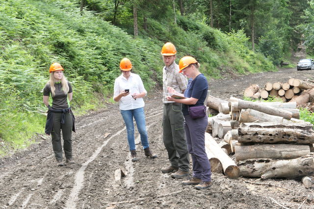 RAZPIS: iščemo novega sodelavca za področje gozdarstva in obnovljivih virov